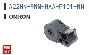 A22NN-RNM-NAA-P101-NN