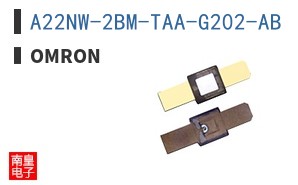 A22NW-2BM-TAA-G202-AB