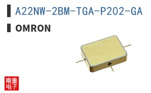 A22NW-2BM-TGA-P202-GA