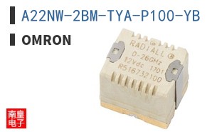A22NW-2BM-TYA-P100-YB
