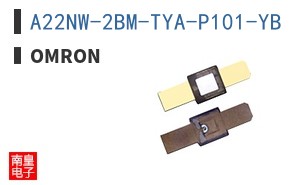 A22NW-2BM-TYA-P101-YB