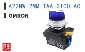 A22NW-2MM-TAA-G100-AC