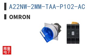 A22NW-2MM-TAA-P102-AC