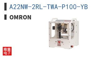 A22NW-2RL-TWA-P100-YB