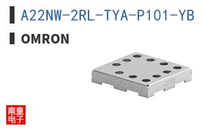 A22NW-2RL-TYA-P101-YB