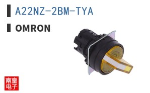 A22NZ-2BM-TYA