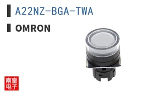 A22NZ-BGA-TWA