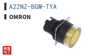 A22NZ-BGM-TYA
