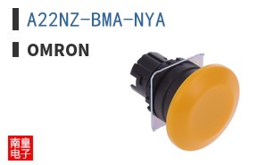 A22NZ-BMA-NYA