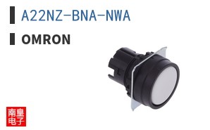 A22NZ-BNA-NWA