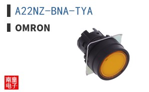 A22NZ-BNA-TYA
