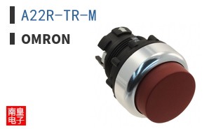 A22R-TR-M