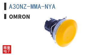 A30NZ-MMA-NYA