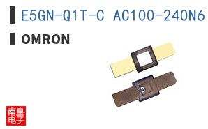 E5GN-Q1T-C AC100-240N6