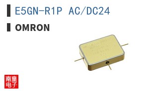 E5GN-R1P AC/DC24