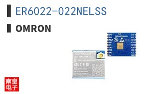 ER6022-022NELSS