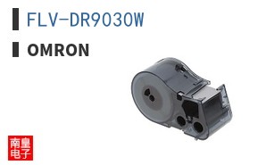 FLV-DR9030W