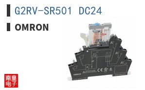 G2RV-SR501 DC24