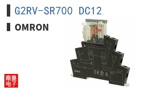 G2RV-SR700 DC12