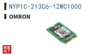 NYP1C-213C6-12WC1000