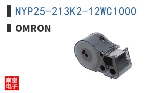 NYP25-213K2-12WC1000