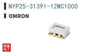 NYP25-31391-12WC1000