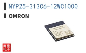 NYP25-313C6-12WC1000