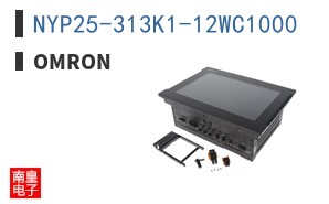 NYP25-313K1-12WC1000