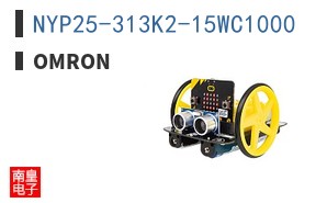 NYP25-313K2-15WC1000