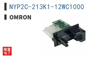 NYP2C-213K1-12WC1000