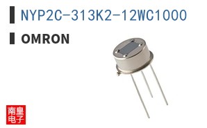 NYP2C-313K2-12WC1000