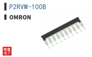 P2RVM-100B