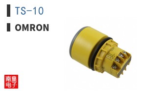 TS-10