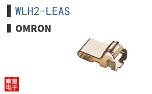 WLH2-LEAS