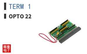 TERM 1
