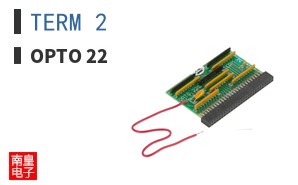 TERM 2