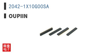 2042-1X10G00SA