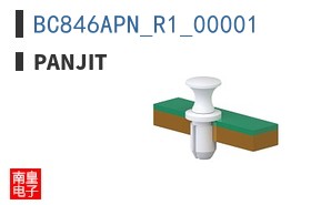 BC846APN_R1_00001