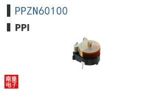 PPZN60100