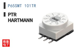 P65SMT 101TR