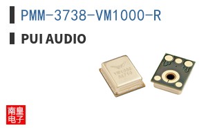 PMM-3738-VM1000-R