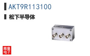 AKT9R113100
