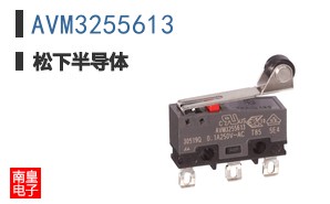 AVM3255613