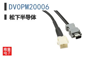 DV0PM20006