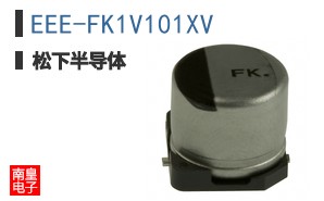 EEE-FK1V101XV