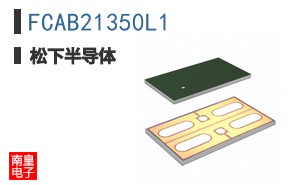 FCAB21350L1
