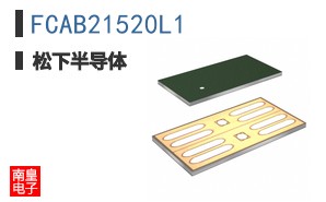 FCAB21520L1