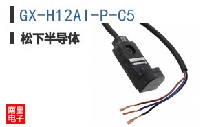 GX-H12AI-P-C5