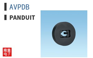 AVPDB