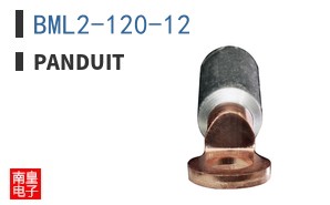 BML2-120-12